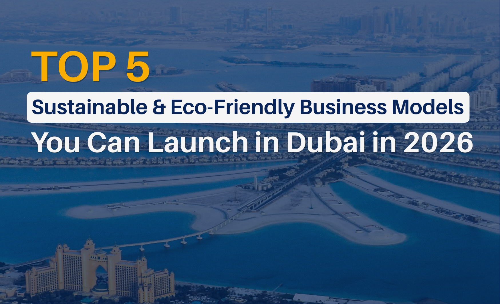 Top 5 Sustainable & Eco-Friendly Business Models You Can Launch in Dubai in 2026