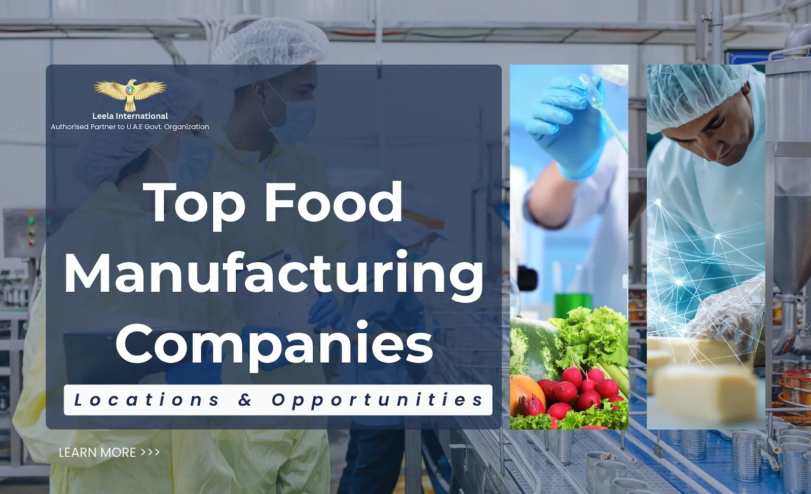 Food Manufacturing Companies in Dubai: Top Locations and How to Join Them