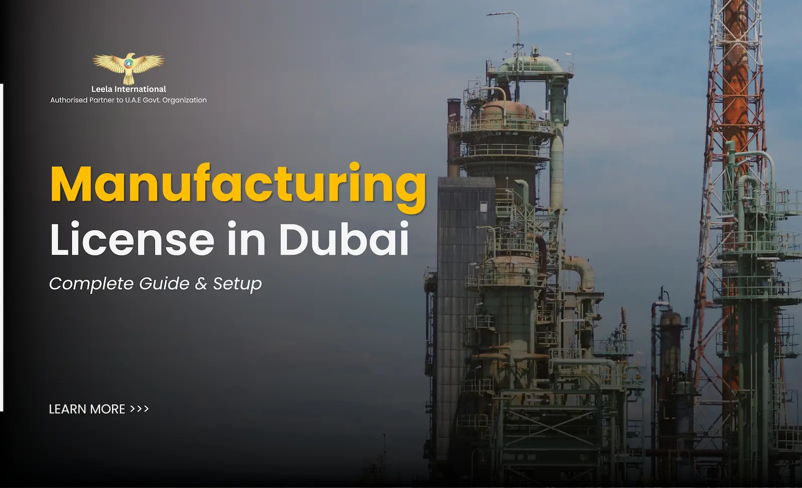 Skyline of Dubai reflecting its industrial growth